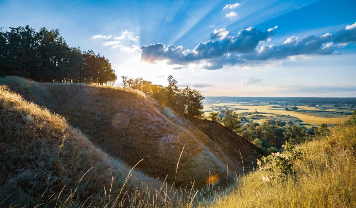 Pokazy taneczne: Sztuka Ruchu i Ekspresji w Różnorodnych Formach
