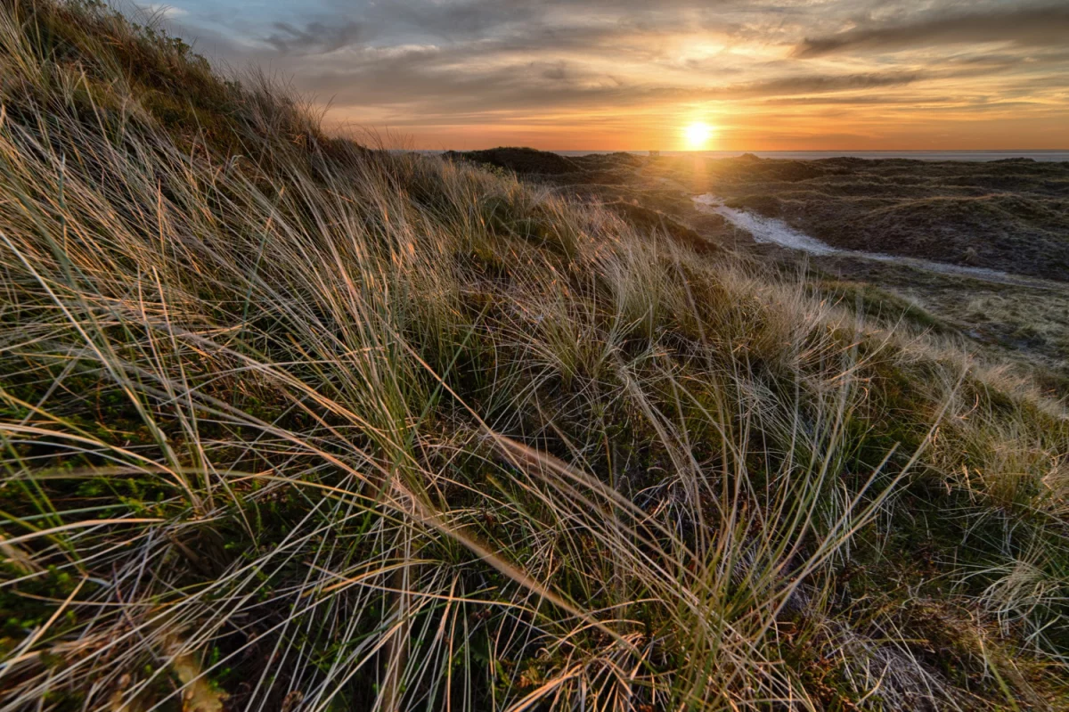 Materace Łódź: Wybierz odpowiedni model i ciesz się komfortem snu!