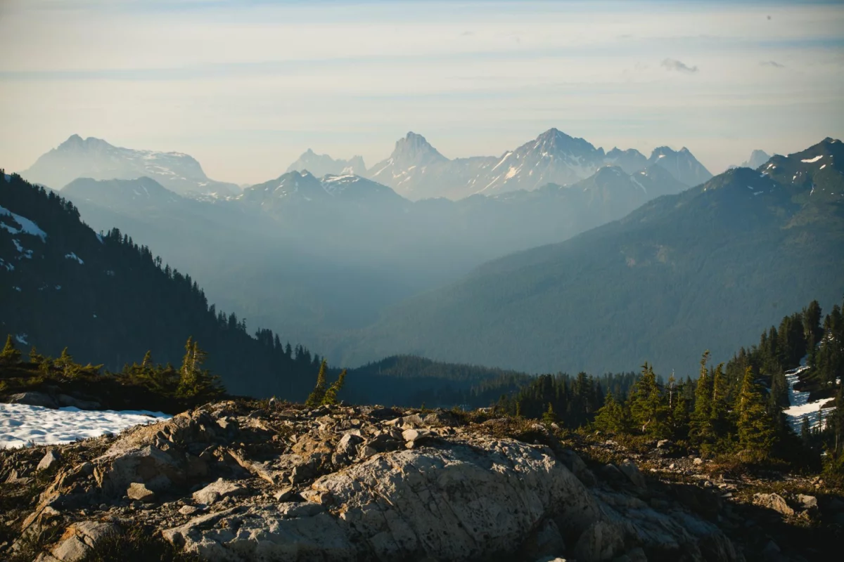 Pokazy taneczne: Sztuka ruchu i emocji na scenie