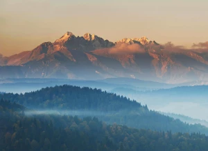 Szkolenia z obrony cywilnej i ochrony ludności: Klucz do bezpieczniejszej przyszłości