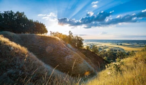 Japandi: Harmonia Wschodu i Zachodu w Nowoczesnym Wnętrzu