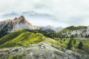 Odkup sprzętu - jak skutecznie pozbyć się używanego wyposażenia i zarobić na tym