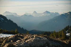 Styl Japandi: Połączenie Skandynawskiej Prostoty z Japońskim Minimalizmem